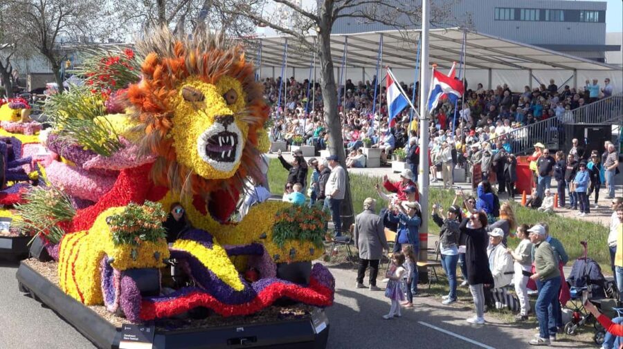 Amsterdam: Flower Parade Grandstand Seat and Keukenhof Tour - Final Thoughts