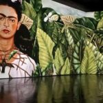 Amsterdam: Frida Kahlo Immersive & Photo Exhibition - Value and Cost