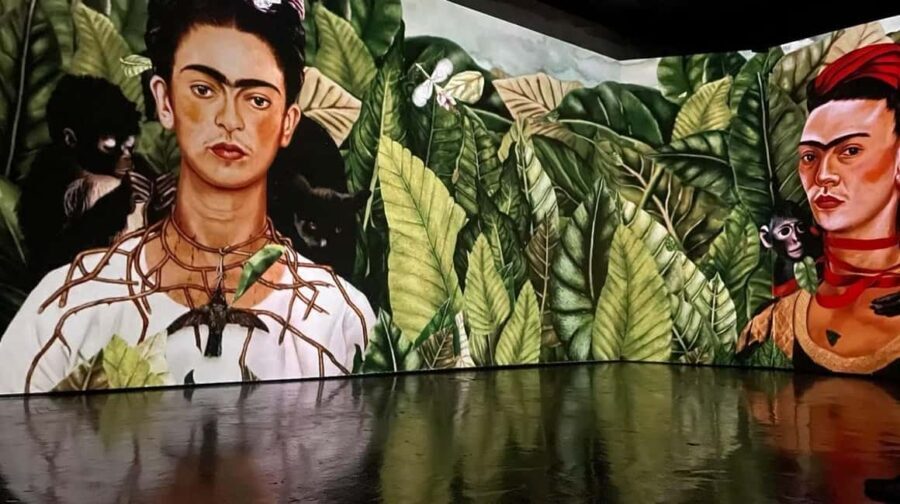 Amsterdam: Frida Kahlo Immersive & Photo Exhibition - Value and Cost