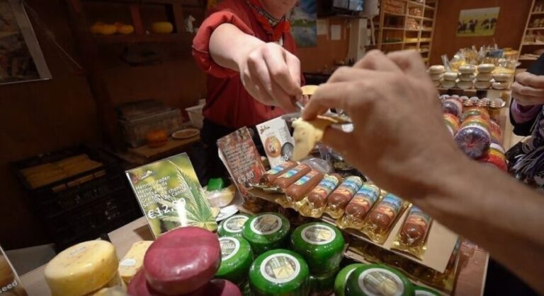 Amsterdam: Full-Day Countryside Tour - What the Tour Includes and How It Feels