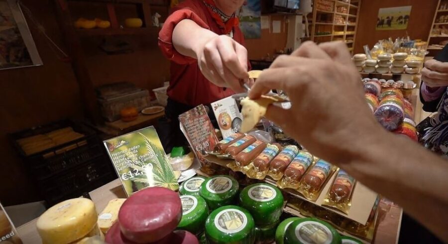 Amsterdam: Full-Day Countryside Tour - What the Tour Includes and How It Feels