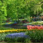 Amsterdam: Half-Day Keukenhof Guided Tour with Entrance - The Gardens and Blooming Spectacle