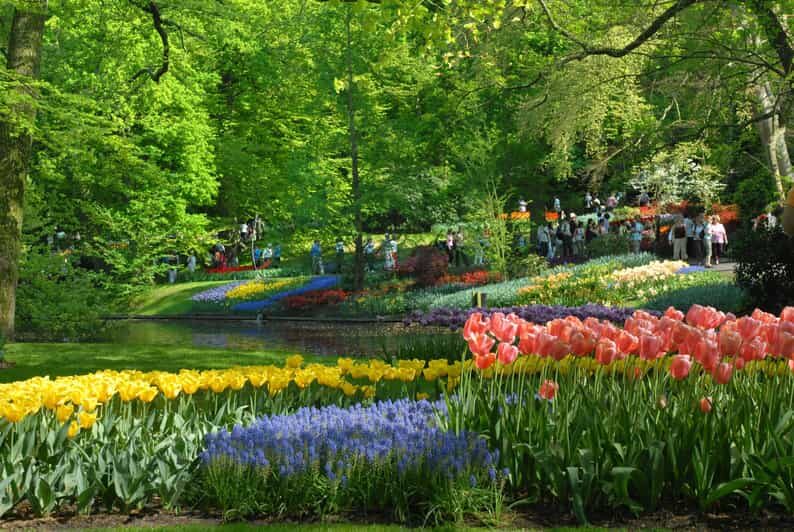 Amsterdam: Half-Day Keukenhof Guided Tour with Entrance - The Gardens and Blooming Spectacle