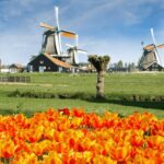 Amsterdam: Keukenhof and Zaanse Schans Windmills Day Trip - FAQs
