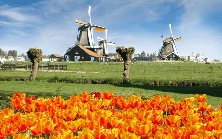Amsterdam: Keukenhof and Zaanse Schans Windmills Day Trip - FAQs