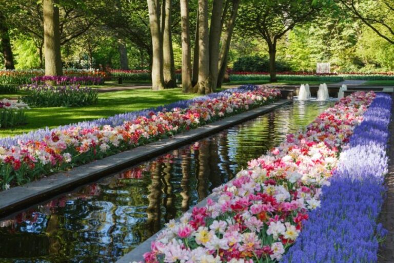 Amsterdam: Keukenhof Gardens Guided Tour Spanish and English - The Highlights of Keukenhof Gardens