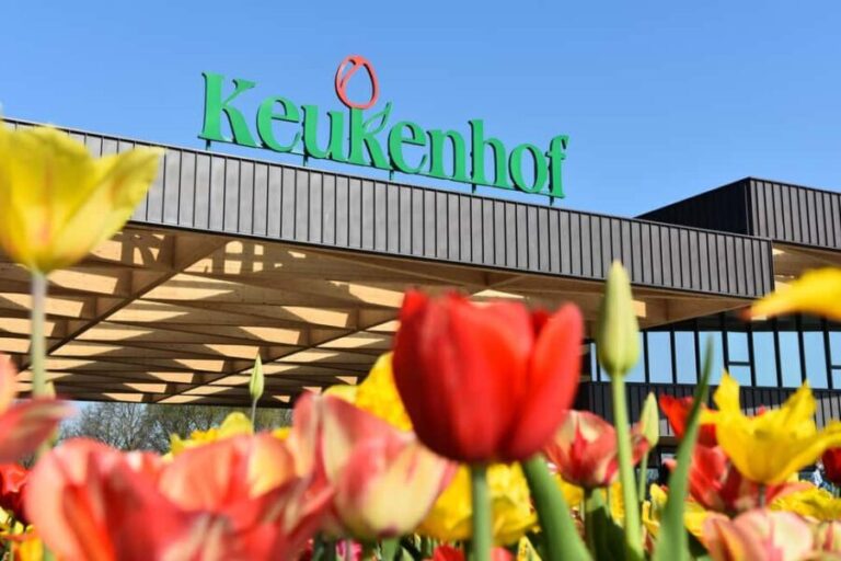Amsterdam: Keukenhof Gardens Half Day Guided Tour - What to Expect on the Day