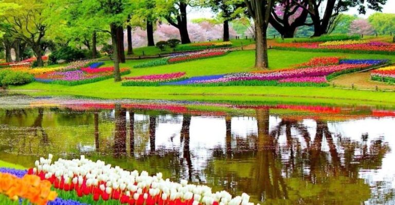 Amsterdam: Keukenhof Gardens Private Sightseeing Tour - The Experience at Keukenhof