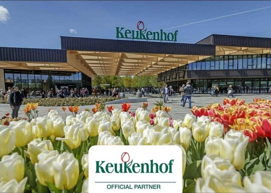 Amsterdam: Keukenhof Gardens & Tulip Fields Private Tour - Journey through the Heart of Dutch Floral Capital