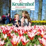 Amsterdam: Keukenhof Ticket with Shuttle Bus + Canal Cruise - What We Like & What to Consider