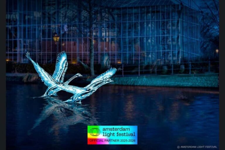 Amsterdam: Light Festival Cruise + Stroopwafel & Hot Choco - Who Is This Tour Best For?