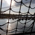 Amsterdam: Old Harbour Tour - What You’ll Learn During the Tour