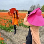 Amsterdam: Private Keukenhof and Free Tulip Tour - Breaking Down the Itinerary