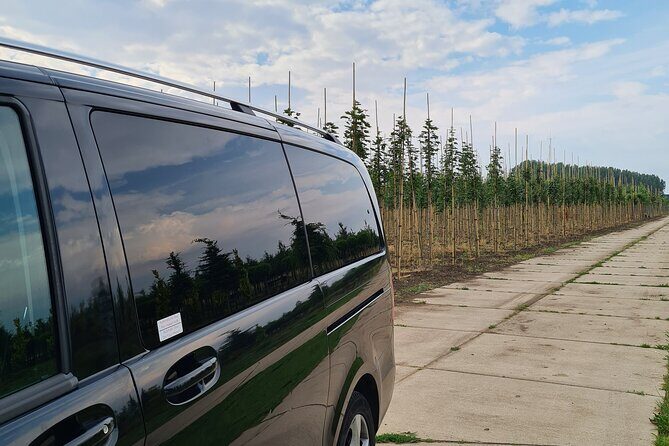 Amsterdam Private Transfer to Keukenhof Gardens - Why This Tour Works Well for Certain Travelers