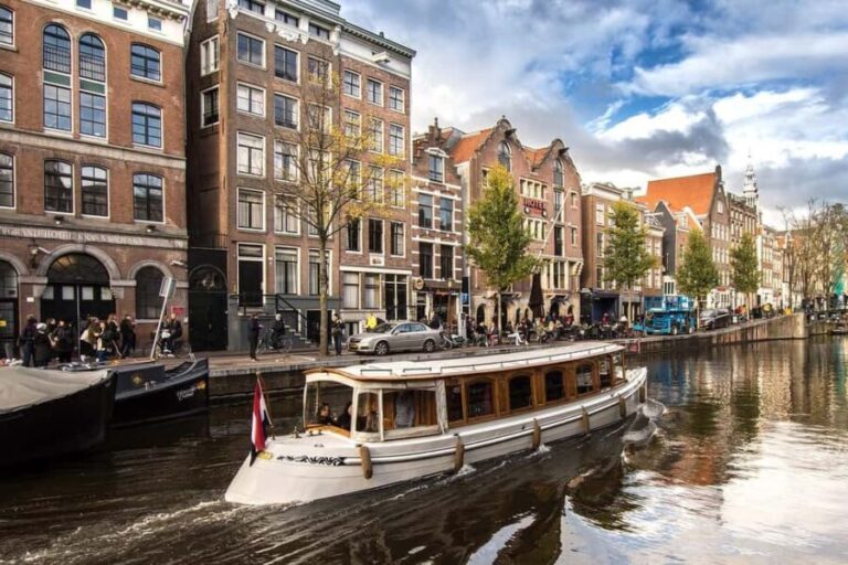 Amsterdam: The Hague & Rotterdam Private Cultural Tour - What You’ll Love About the Experience
