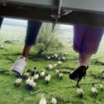 Amsterdam: This is Holland 5D Flight Experience Entry Ticket - The Itinerary and Experience in Detail