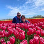 Amsterdam: Tulip Fields Day Tour with Lunch & Windmill - Is It Worth the Price?