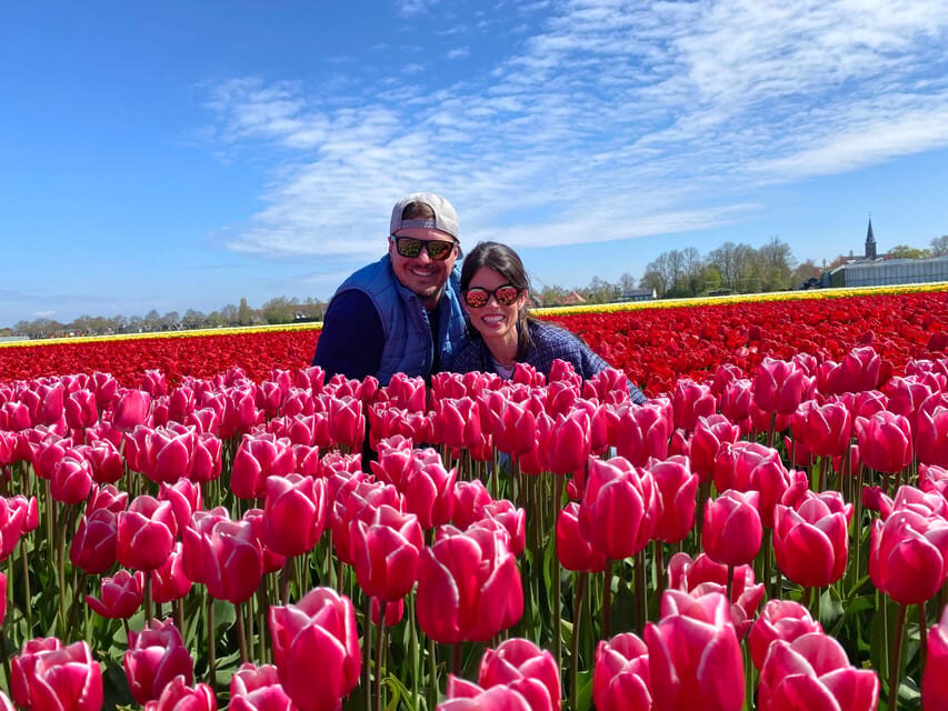 Amsterdam: Tulip Fields Day Tour with Lunch & Windmill - Is It Worth the Price?