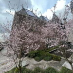 Amsterdam: Ultimate City Park Tour - Who Should Consider This Tour?