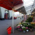 Amsterdam Walking Tour and Canal Cruise - What You Can Expect from the Tour