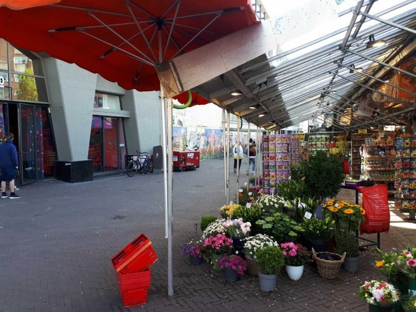 Amsterdam Walking Tour and Canal Cruise - What You Can Expect from the Tour