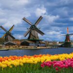 Amsterdam: Zaanse Schans, Cheese Tasting & Volendam Tour - What This Tour Means for You
