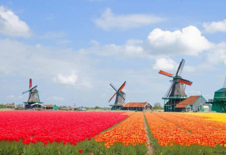 Amsterdam: Zaanse Schans, Windmills & Volendam Private Tour - Transportation and Comfort