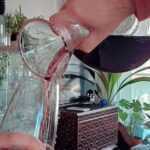 An Unforgettable Evening: Authentic Portuguese Dinner in Porto - The Host and Atmosphere