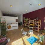 Ancestral Cocoa Tasting in Ronda  Tree to Cup Experience - The Journey from Fruit to Cup