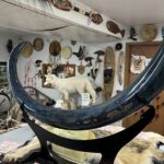 Anchorage City Tour, w/Choc Factory Samplings - Some Considerations and Tips