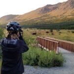 Anchorage Scenic Mountain Bike Tour - The Itinerary in Detail