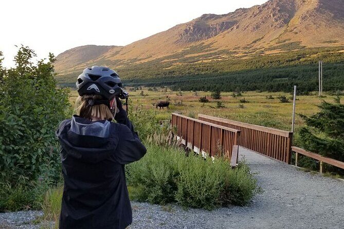 Anchorage Scenic Mountain Bike Tour - The Itinerary in Detail