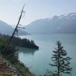 Anchorage to Whittier Wildlife Adventure - Who Will Love This Tour?
