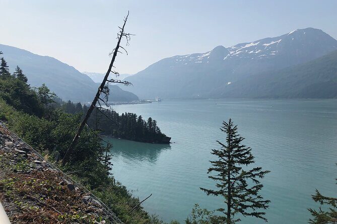 Anchorage to Whittier Wildlife Adventure - Who Will Love This Tour?