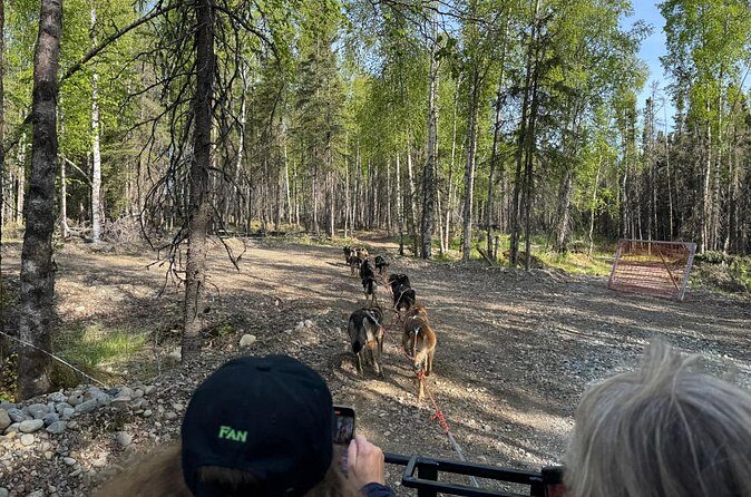 Anchorage's Authentic Dog Sledding Experience - Authenticity and Visitor Feedback