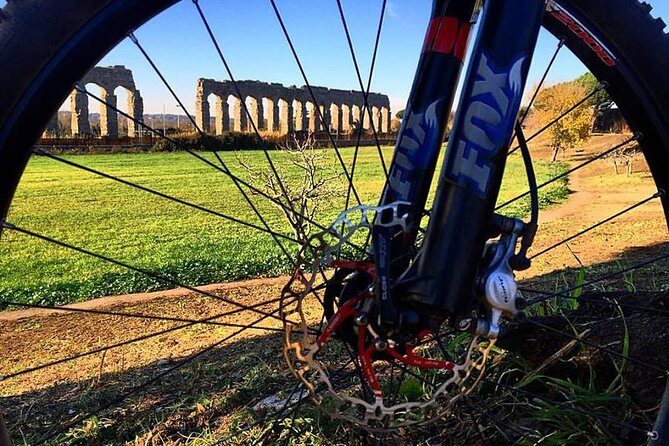 Ancient Appian Way and Roman Countryside E-Bike Tour - Real Travelers’ Opinions