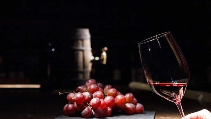 Ancient Olympia: Agrotourism tour, honey, wine, and oil tasting. - Who Should Consider This Tour?