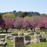 Ancient Olympia & Corinth Canal Private Tour from Athens - Final Thoughts
