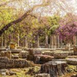 Ancient Olympia full day private tour from Athens - Price and Value: Is it Worth It?