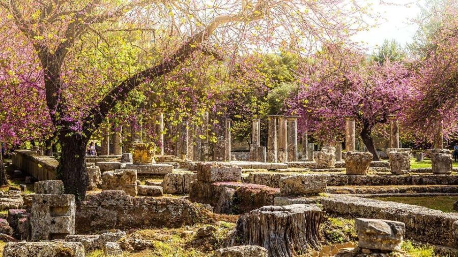 Ancient Olympia full day private tour from Athens - Price and Value: Is it Worth It?