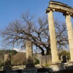 Ancient Olympia Private Day Tour - Value and Practical Tips