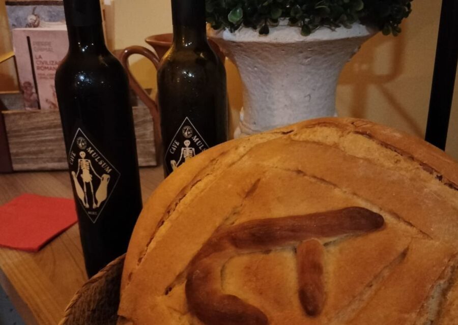 Ancient Rome gastronomic experience - wine tasting - What Does the Price Cover?