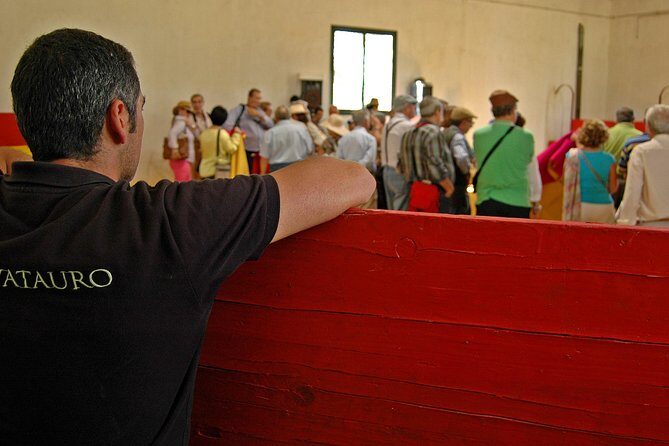 Andalucia Bull and Horse Farm and Ronda Private Tour from Malaga - Who Is This Tour Best Suited For?