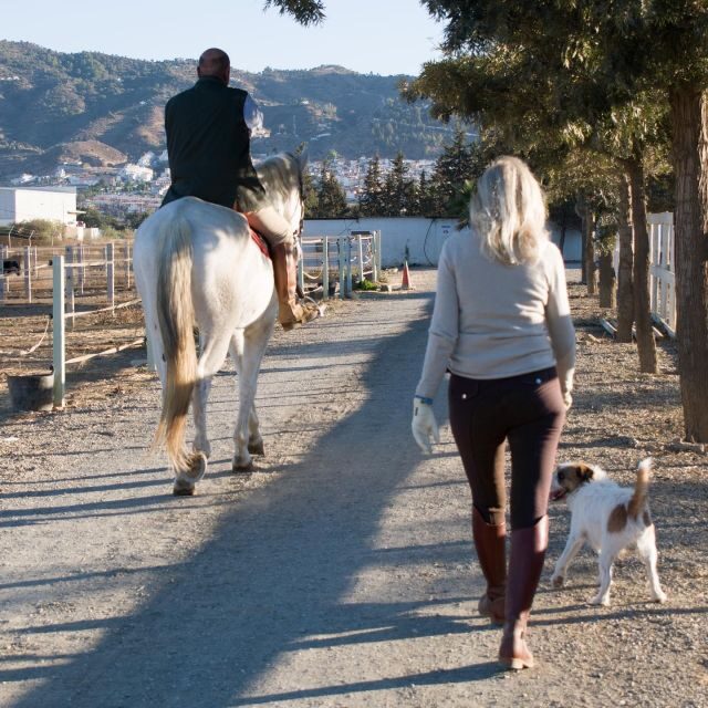 Andalucia: Horse Riding Tour with Picnic - Value and Pricing