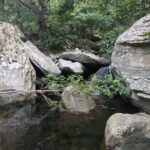 Andros Full Day Sightseeing Tour - Authentic Insights from Past Travelers