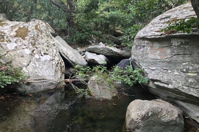 Andros Full Day Sightseeing Tour - Authentic Insights from Past Travelers