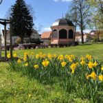 Anecdotal tour through Bad Frankenhausen - Who Is This Tour Best For?