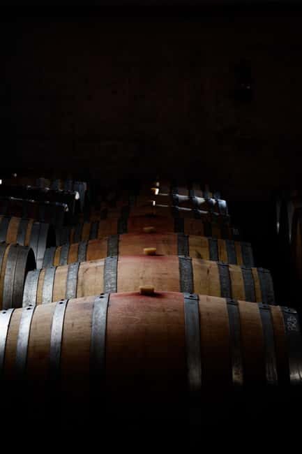 Aniane: The French garden visit of Château Capion and the wine experience - What the Experience Really Means for You