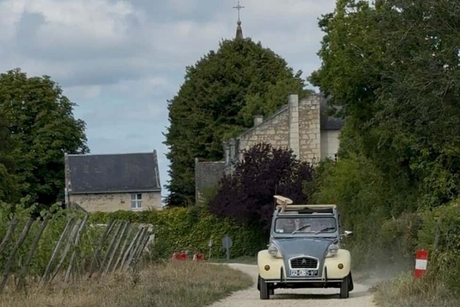 Anjou: Discovery by Vintage Car with a Local Guide - The Vehicles and the Vibe