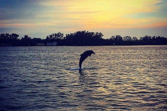 Anna Maria Island Dolphin Sunset Boat Tour - Who Is This Tour Best For?